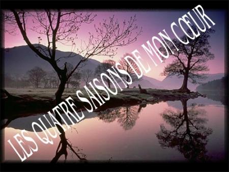 quatre saisons
